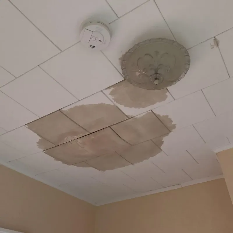 Ceiling Water Damage Repair in Tipton, PA