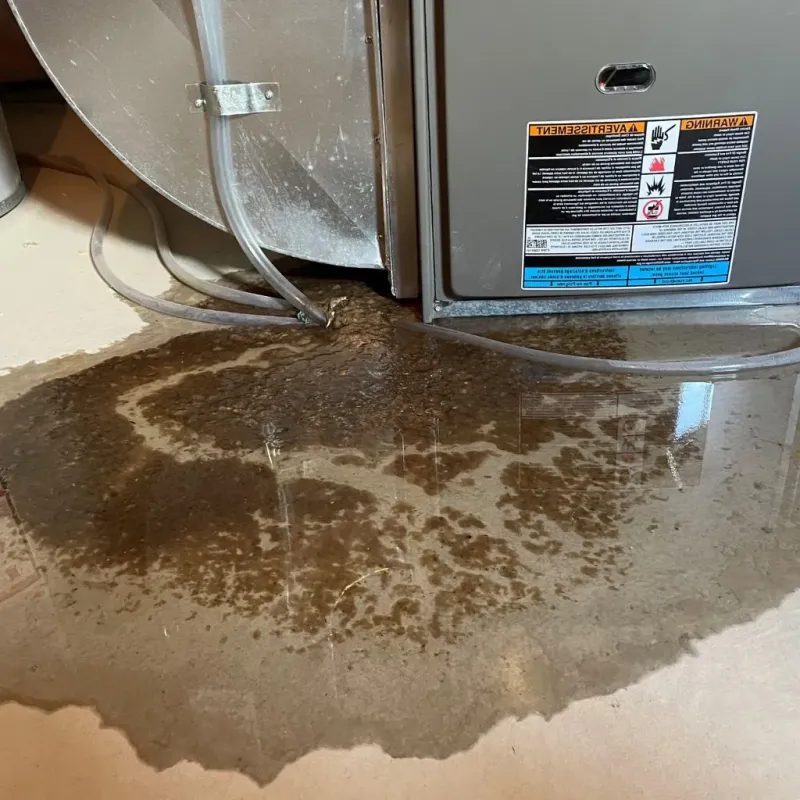 Pipe Burst and Leak Restoration in Tipton, PA
