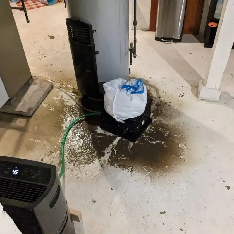 Sewage Backup Cleanup Service in Tipton, PA